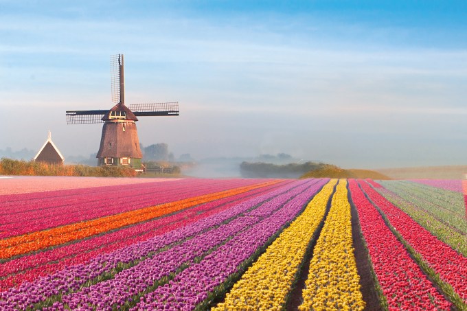 Jardim de Keukenhof, Holanda