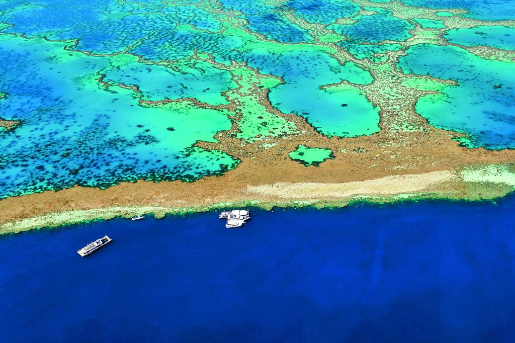 Grande Barreira de Corais, Queensland, Austrália Grande Barreira de Corais, Queensland, Austrália