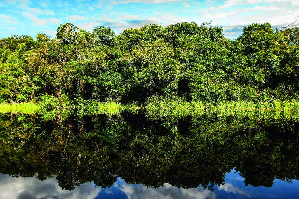 Rio Negro, Amazônia Rio Negro, Amazônia