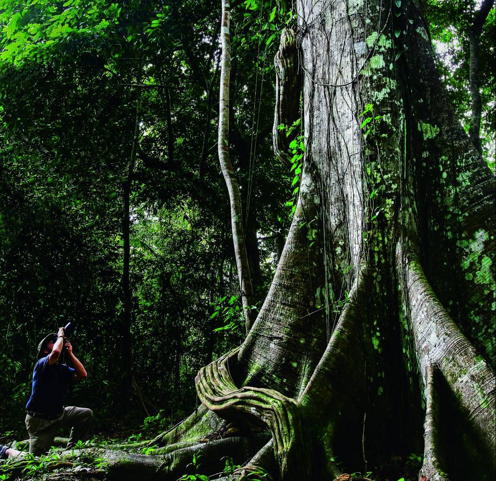 Parque do Jaú, Amazônia Parque do Jaú, Amazônia