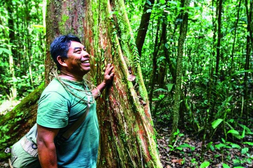 Amazônia Amazônia