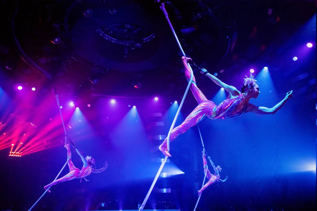 COSMOS – Cirque du Soleil at Sea COSMOS – Cirque du Soleil at Sea