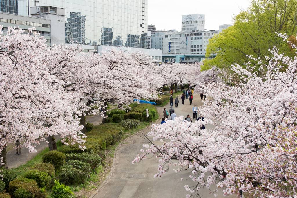 Kema Sakuranomiya Park, Osaka, Japão Kema Sakuranomiya Park, Osaka, Japão
