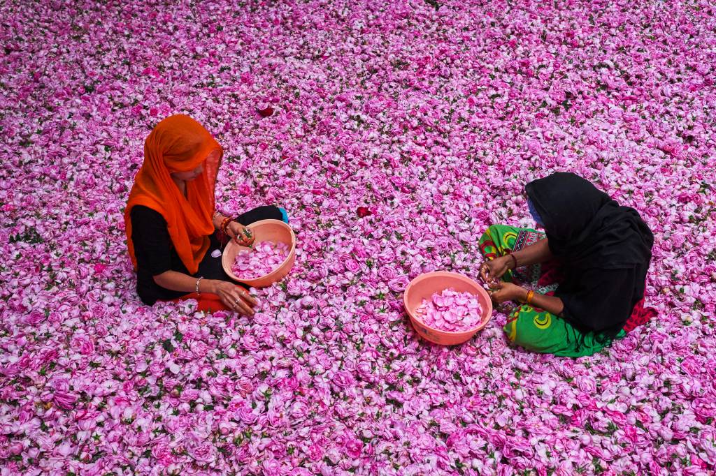 Uttar Pradesh, Índia Uttar Pradesh, Índia