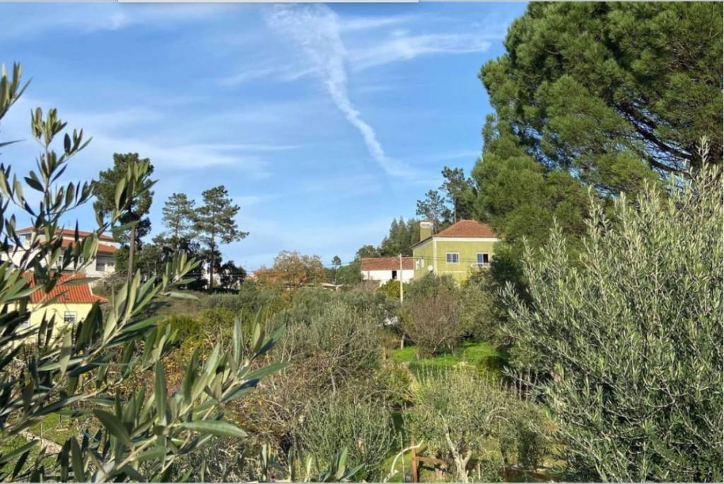 Casa5 Casa5