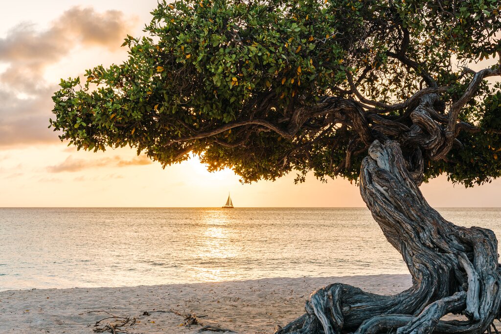 Eagle Beach, Aruba, Caribe