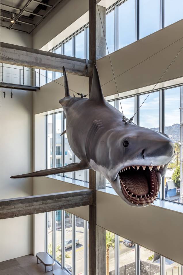 O modelo em tamanho real usado em "Tubarão" (1975) de Steven Spielberg, está suspenso dentro do museu O modelo em tamanho real usado em "Tubarão" (1975) de Steven Spielberg, está suspenso dentro do museu