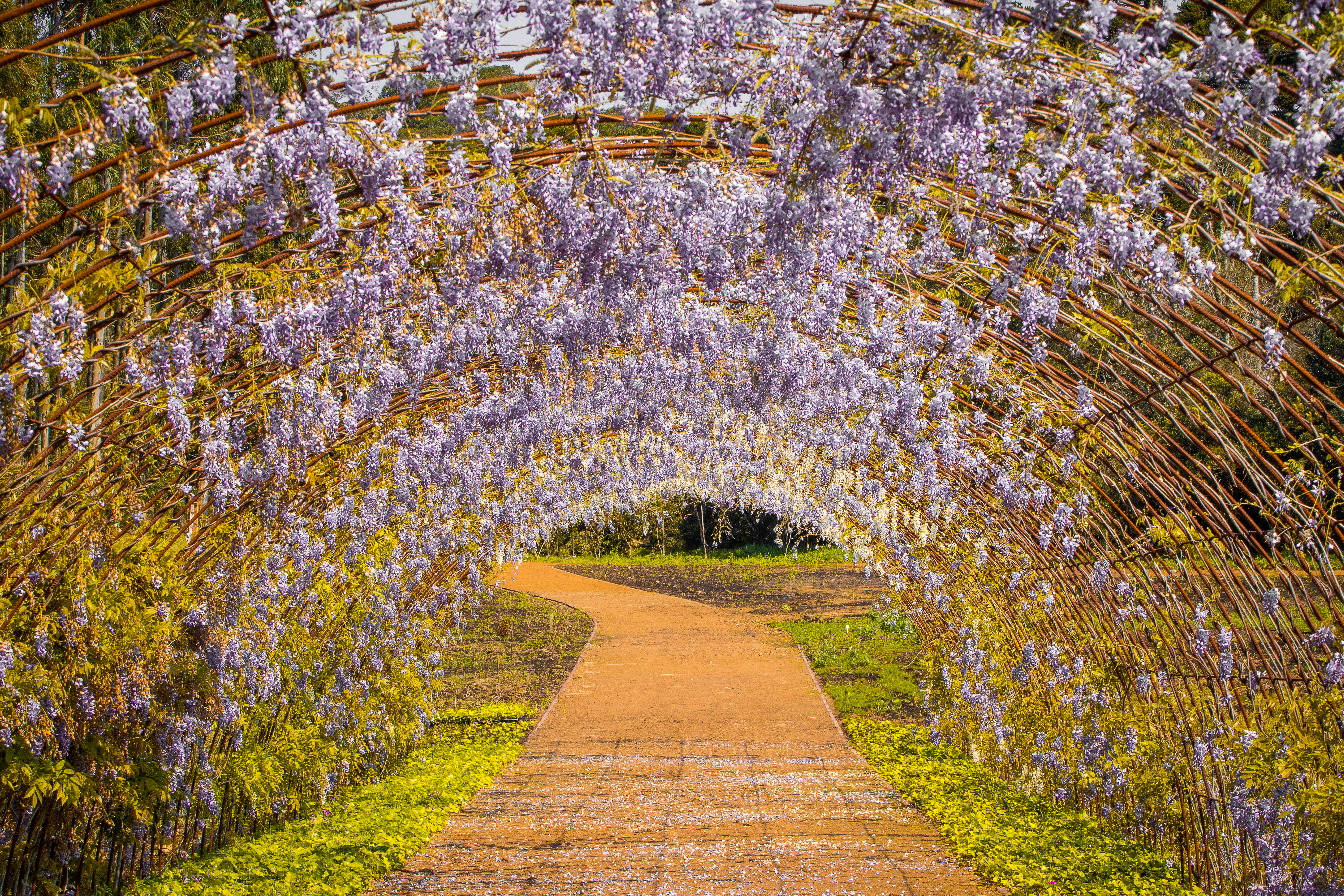 Mátria Parque de Flores, São Francisco de Paula, Rio Grande do Sul, Brasil