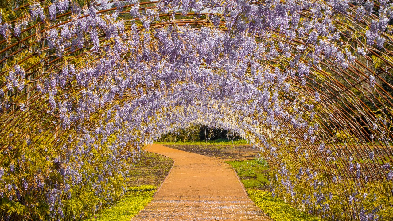 Mátria Parque de Flores, São Francisco de Paula, Rio Grande do Sul, Brasil