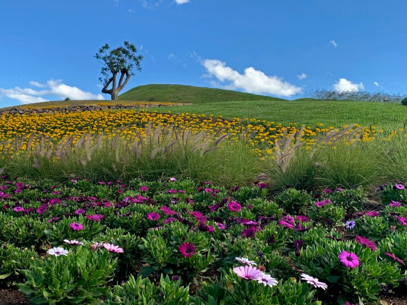 Mátria Parque de Flores, São Francisco de Paula, Rio Grande do Sul, Brasil