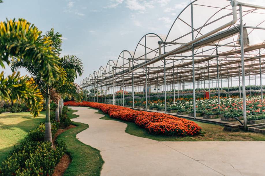 O parque é dividido em várias áreas temáticas que podem ser usadas em ensaios fotográficos. O parque é dividido em várias áreas temáticas que podem ser usadas em ensaios fotográficos.