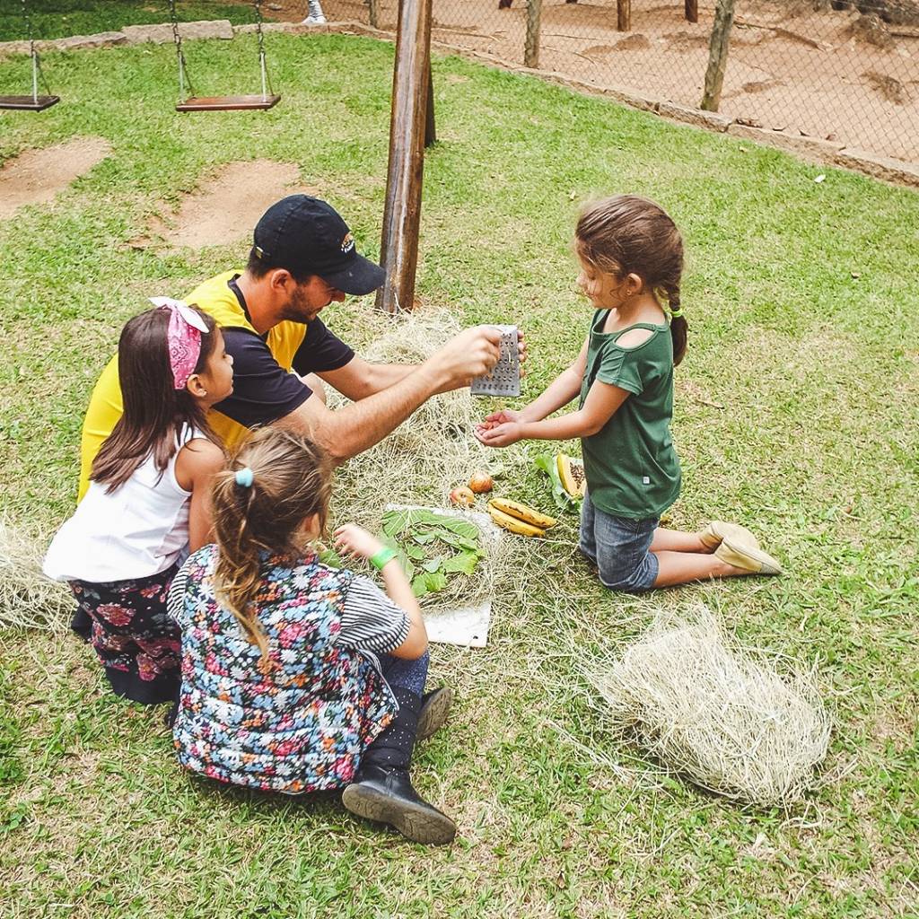 Fazenda Capoava, Itu, São Paulo, Brasil