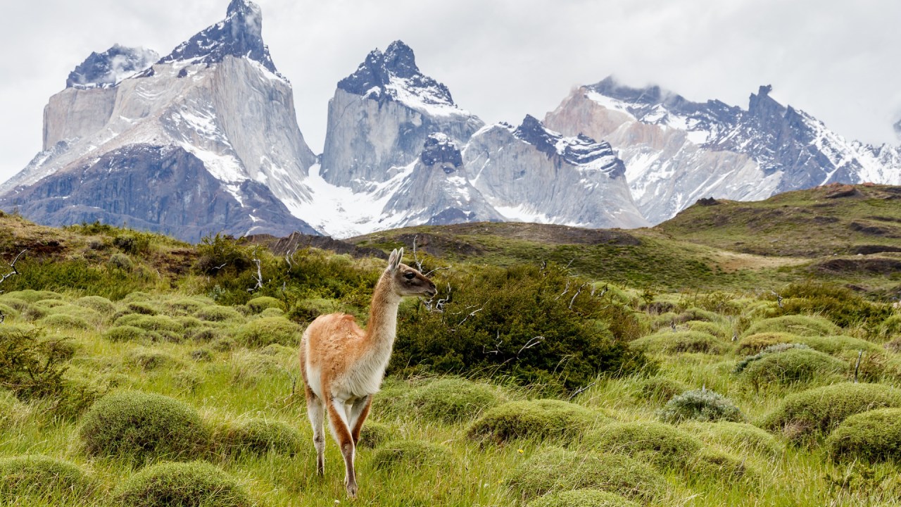 Torres del Paine, Patagônia Chilena, Chile