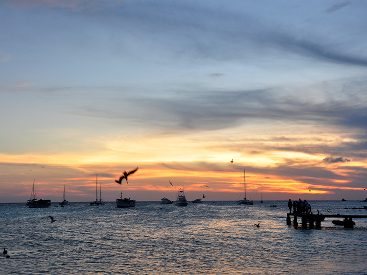 Por do sol, passaros voando, um píer cheio de pessoas e barcos atracados