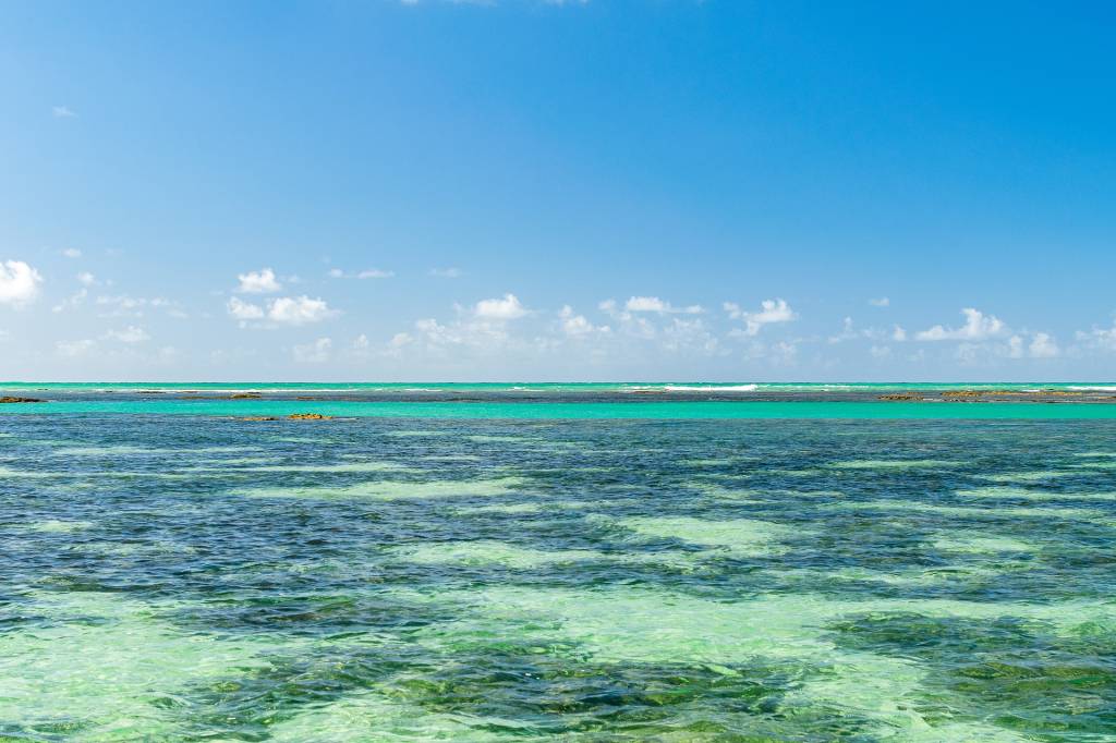Galés de Maragogi, Alagoas, Brasil A imagem mostra uma mar verde esmeralda com águas cristalinas onde é possível ver recifes de corais. Ao fundo, o céu possui um azul intenso e poucas nuvens.