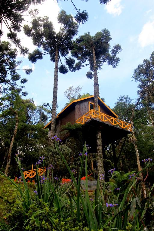 330116380 Cercada pelas araucárias, a casa na árvore acomoda famílias de até quatro pessoas.