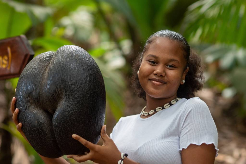 Coco-de-mer, Praslin, Seychelles