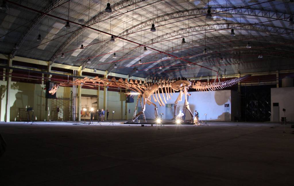 Montagem Patagotitan, parque Ibirapuera, São Paulo