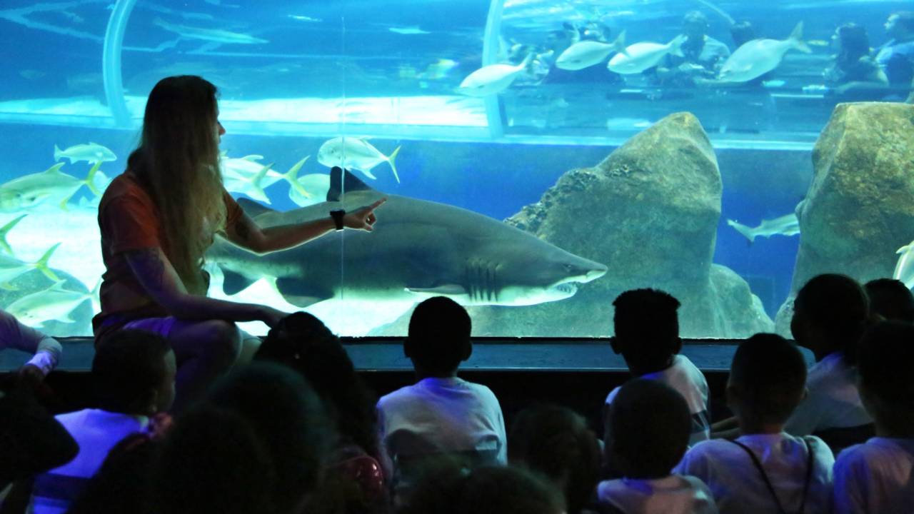 AquaRio, Rio de Janeiro, Brasil