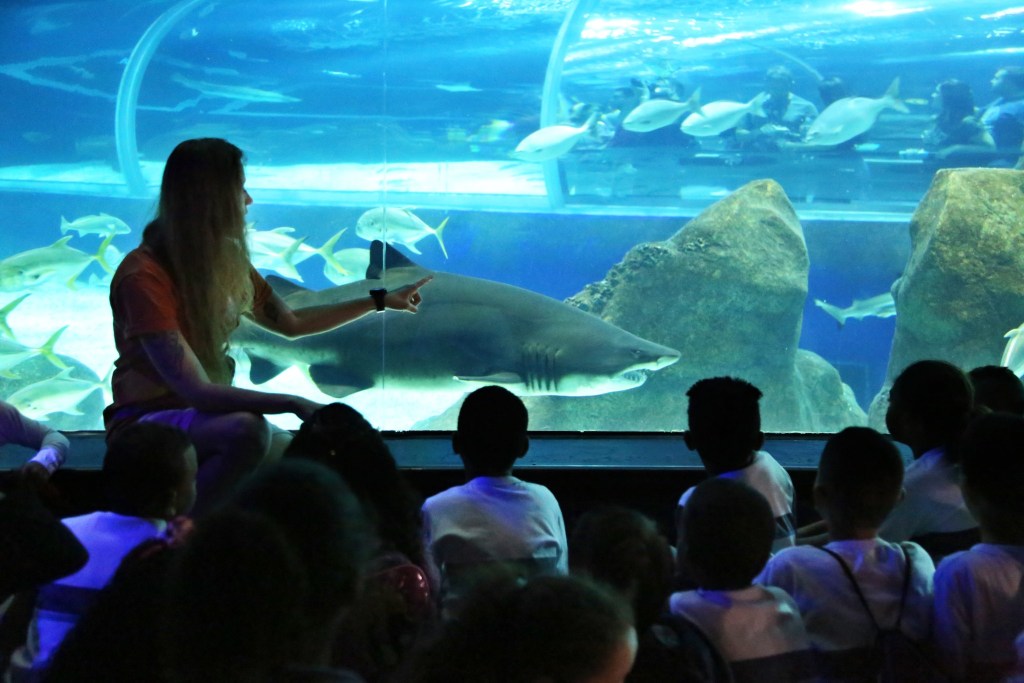 AquaRio, Rio de Janeiro, Brasil