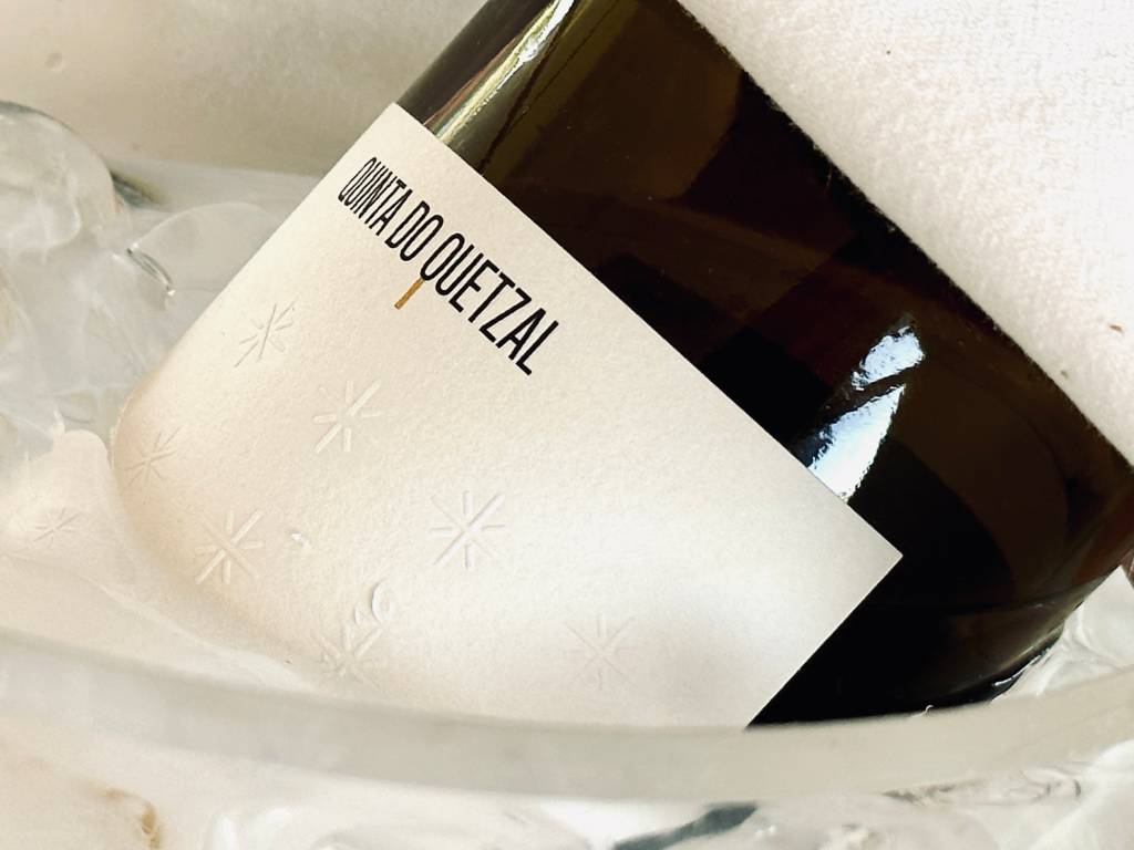 IMG_9526 Garrafa de vinho mergulhada num balde com gelo