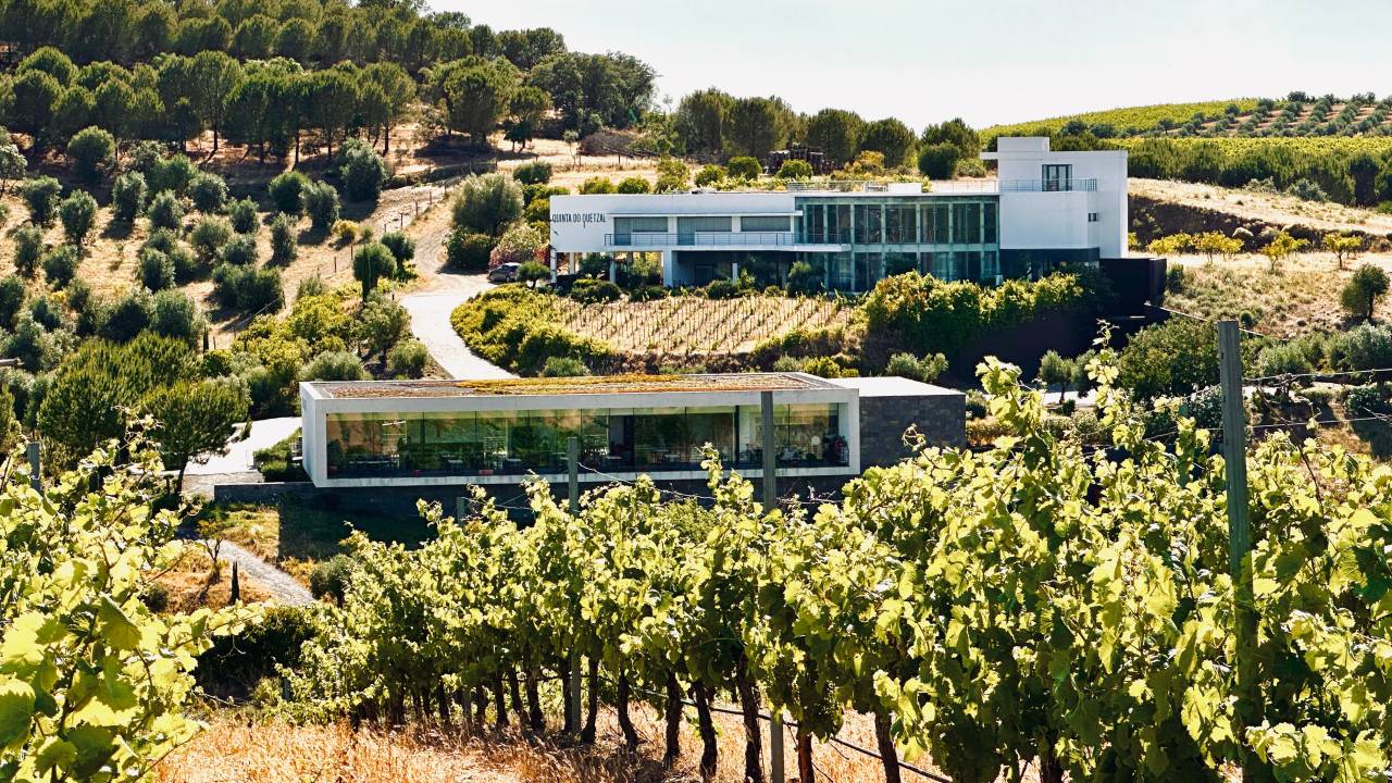 Paisagem alentejana com vinhedos num primeiro plano e, ao fundo, dois edifícios com a adega e o restaurante