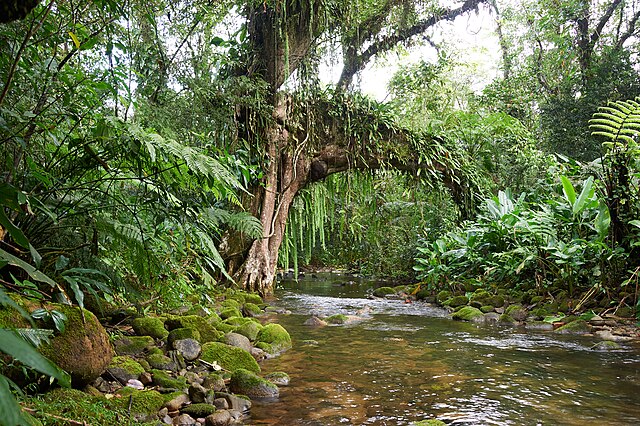 Reserva_Particular_do_Patrimônio_Natural_Salto_Morato_Estúdio_Anderson_Mello_(42)