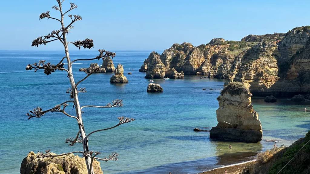 Vista de uma praia de águas azuis e falesias