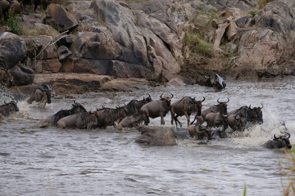 Parque Nacional do Serengeti, Tanzânia Parque Nacional do Serengeti, Tanzânia