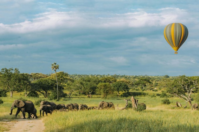 Parque Nacional do Serengeti, Tanzânia