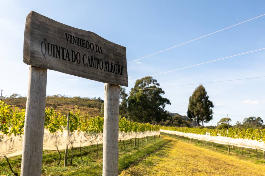 Vinícola Quinta do Campo Alegre, Diamantina, Minas Gerais Vinícola Quinta do Campo Alegre, Diamantina, Minas Gerais