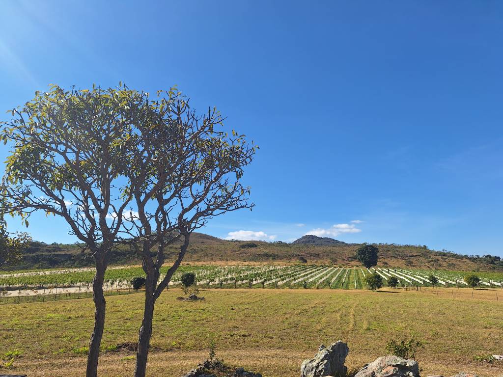 Vinícola Quinta do Campo Alegre, Diamantina, Minas Gerais Vinícola Quinta do Campo Alegre, Diamantina, Minas Gerais