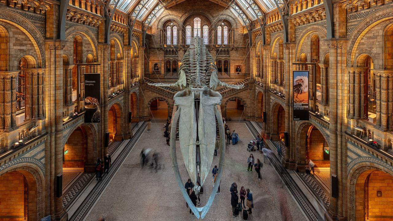 Natural History Museum, Londres