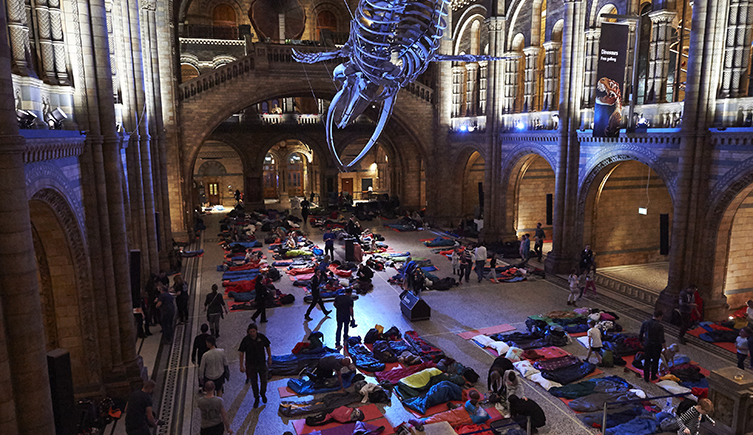 dino-snores-dormir-museu dino-snores-dormir-museu