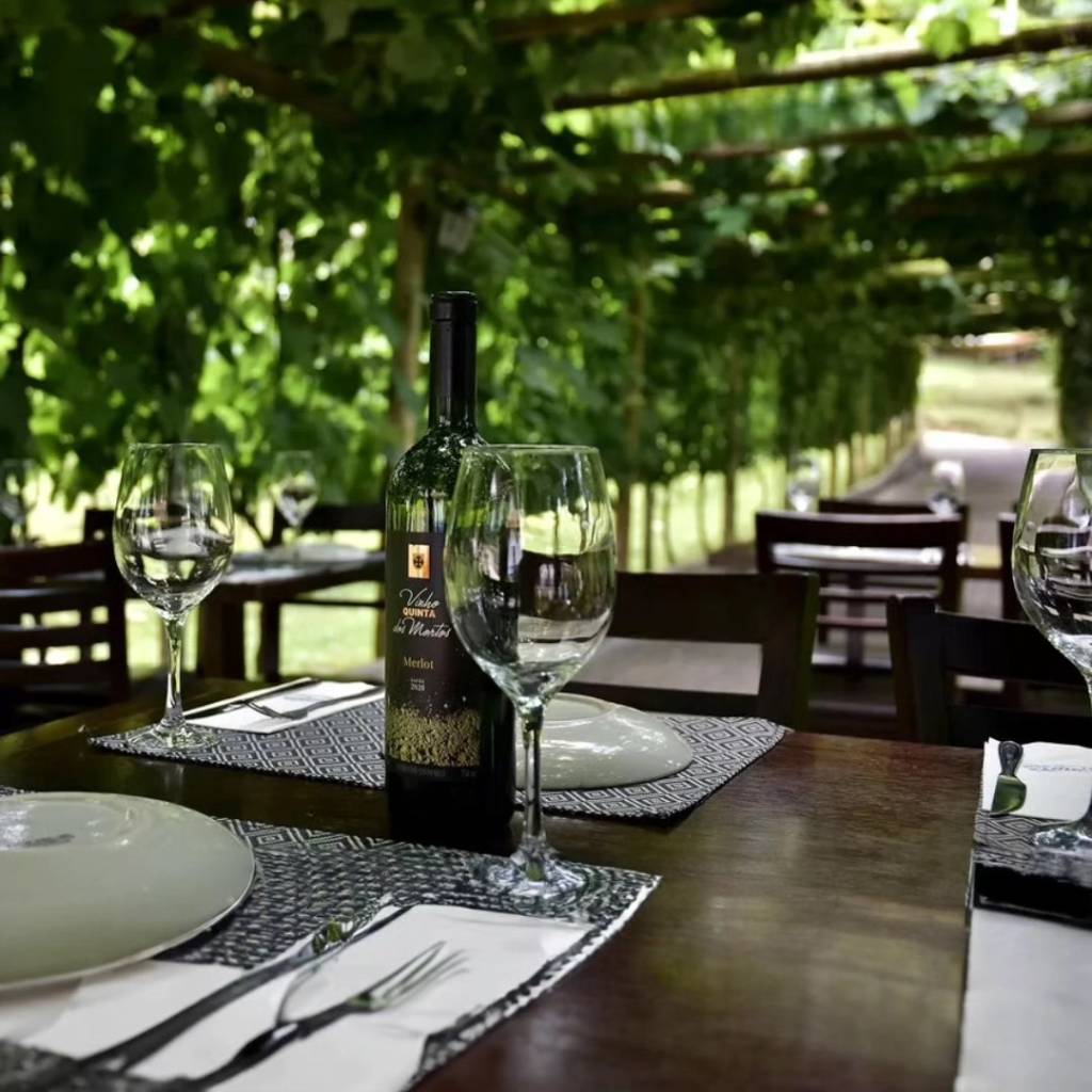 quinta-do-olivardo-vinho-dos-mortos quinta-do-olivardo-vinho-dos-mortos