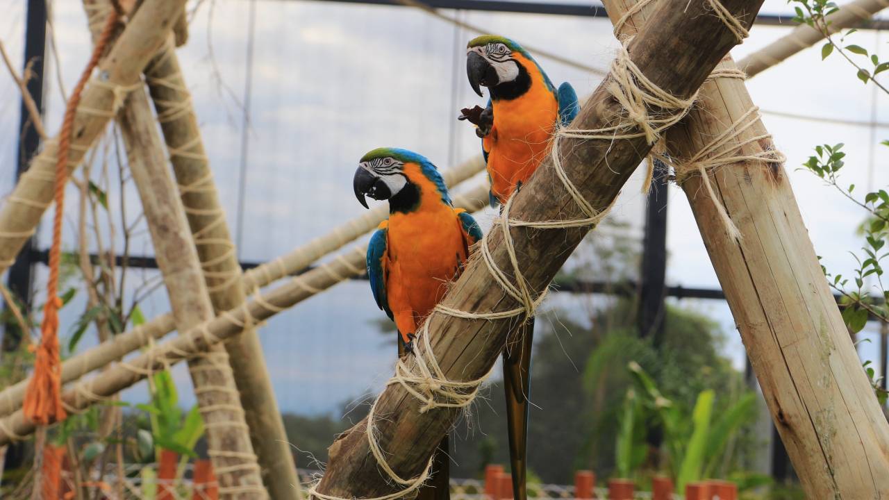 Parque Três Pescadores, Aparecida, São Paulo