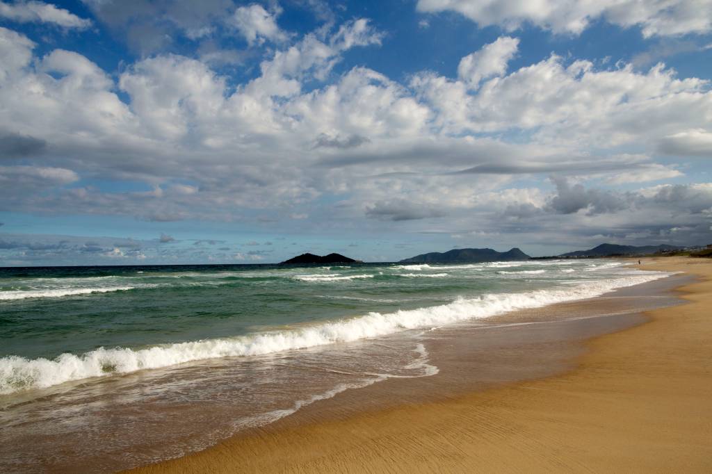 campeche-florianopolis campeche-florianopolis