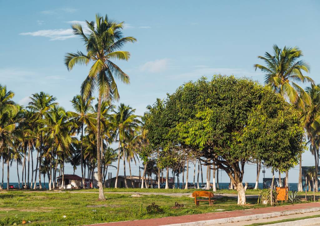 maracaipe-ipojuca maracaipe-ipojuca