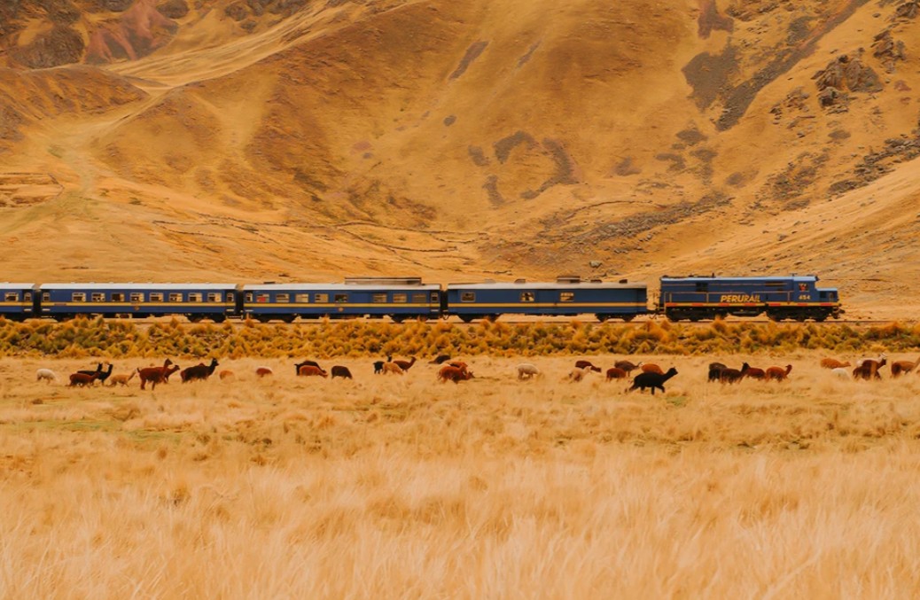 perurail-titicaca-peru