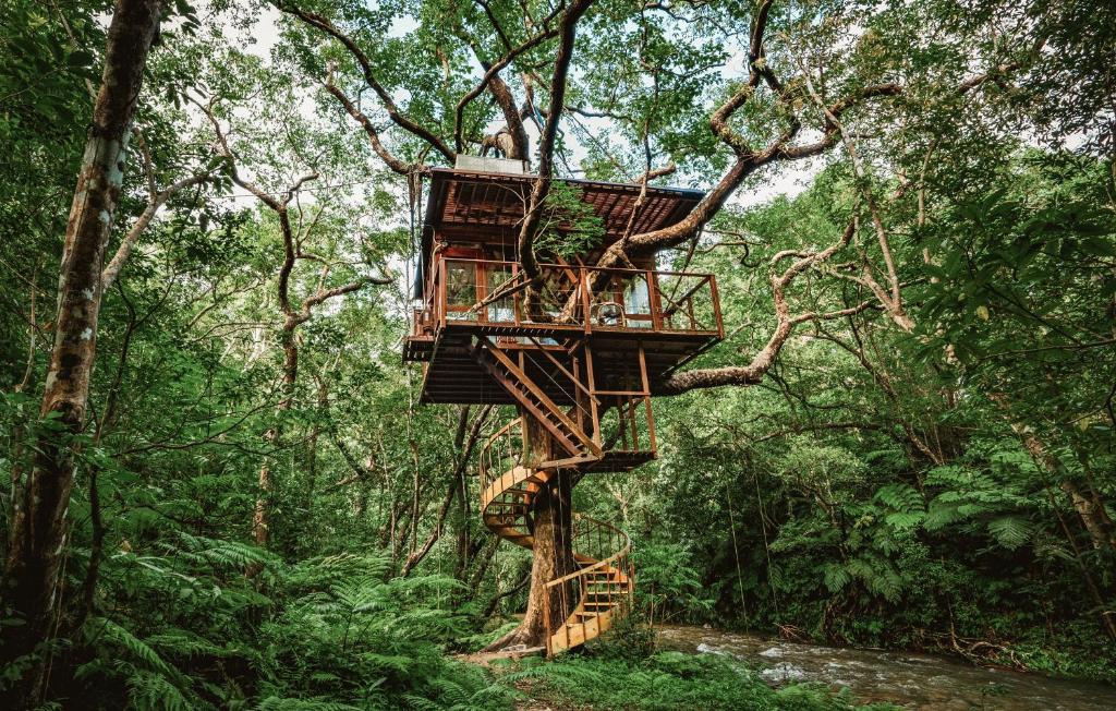 Treeful Treehouse, Okinawa, Japão