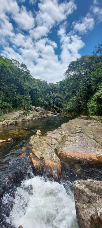 Cachoeira da Torre, Caminhos do Mar, São Paulo