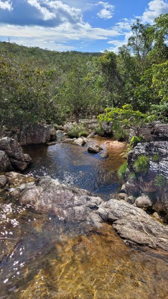Seriema, Parque Nacional da Chapada dos Veadeiros, Goiás