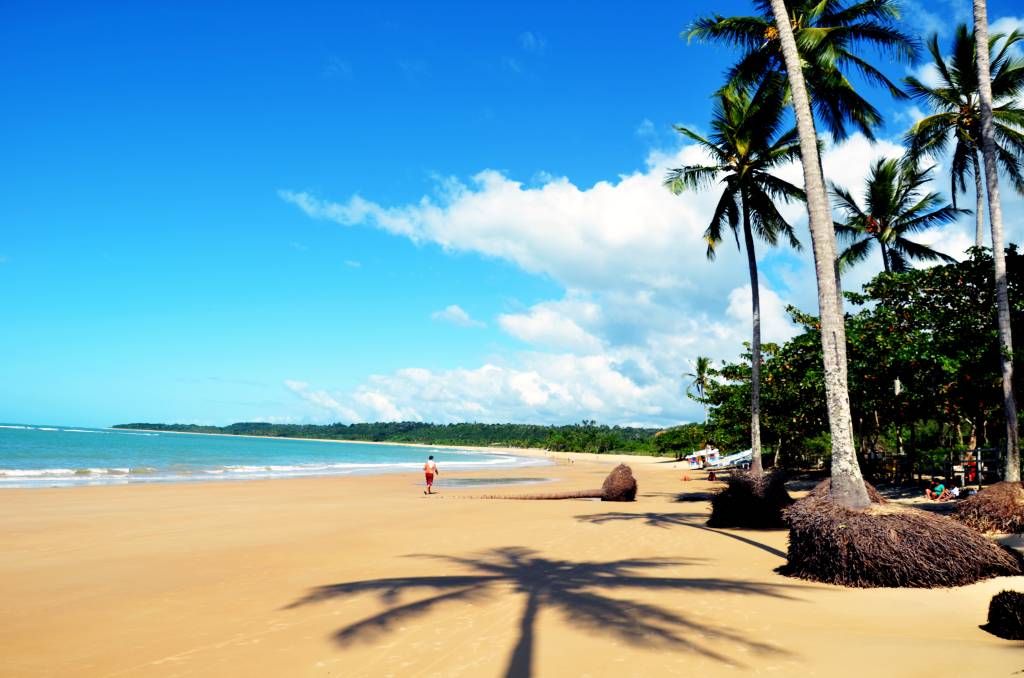 bahia-trancoso-coqueiros bahia-trancoso-coqueiros