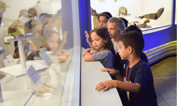 Passeio Infantil em Museus
