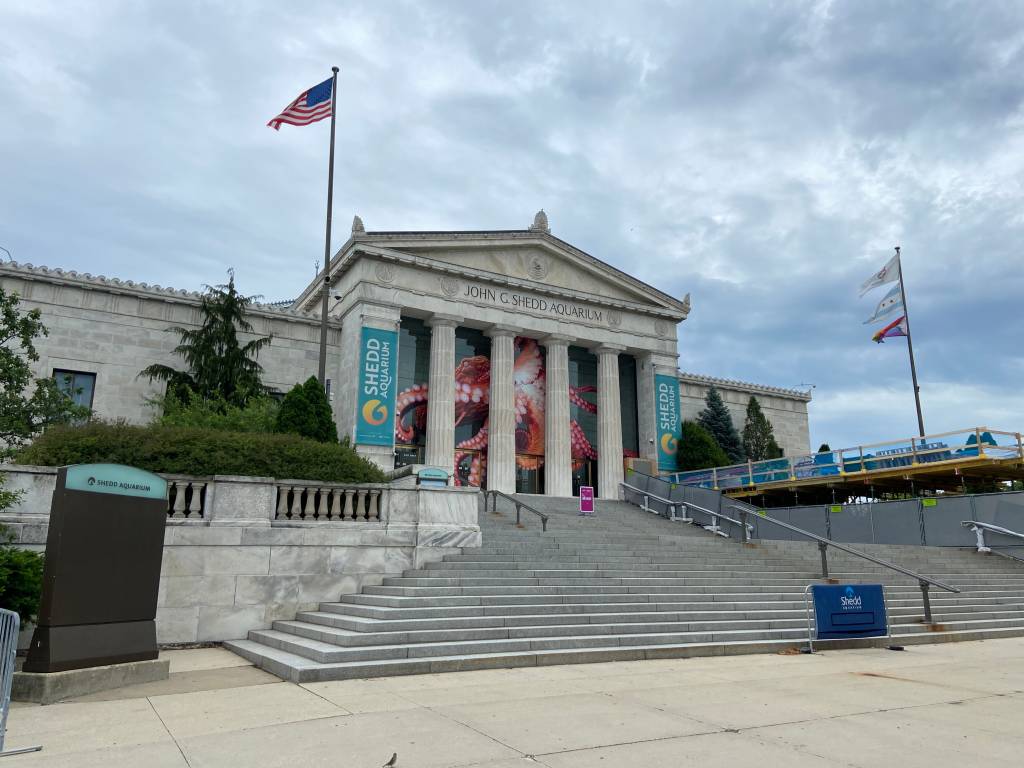 Shedd Aquarium, Chicago, Estados Unidos Shedd Aquarium, Chicago, Estados Unidos