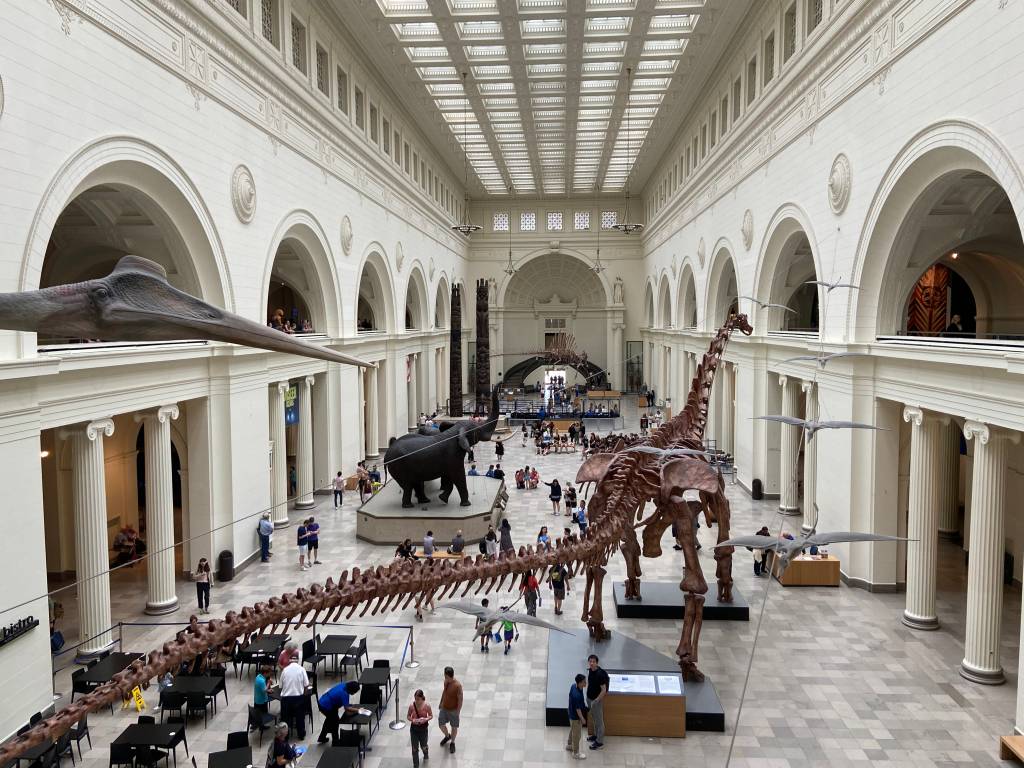 Field Museum, Chicago, Estados Unidos Field Museum, Chicago, Estados Unidos