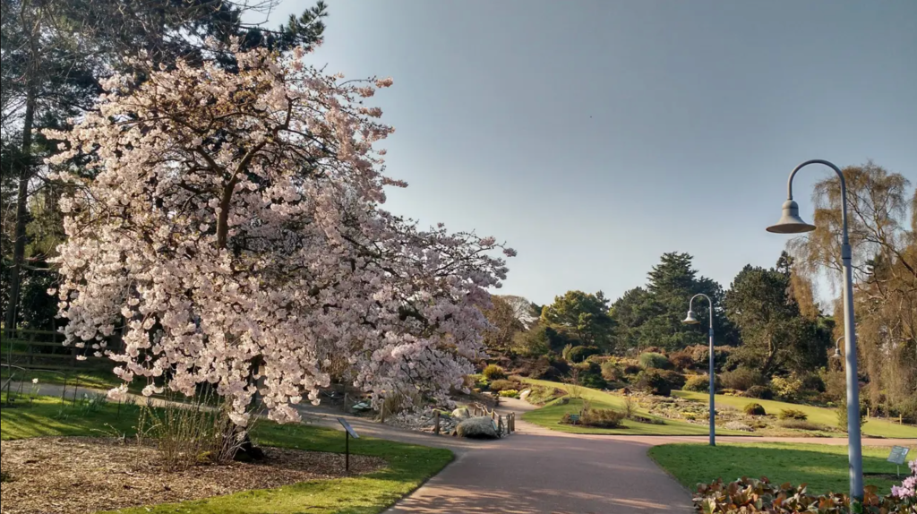 Royal Botanic Garden Edimburgo Royal Botanic Garden em Edimburgo