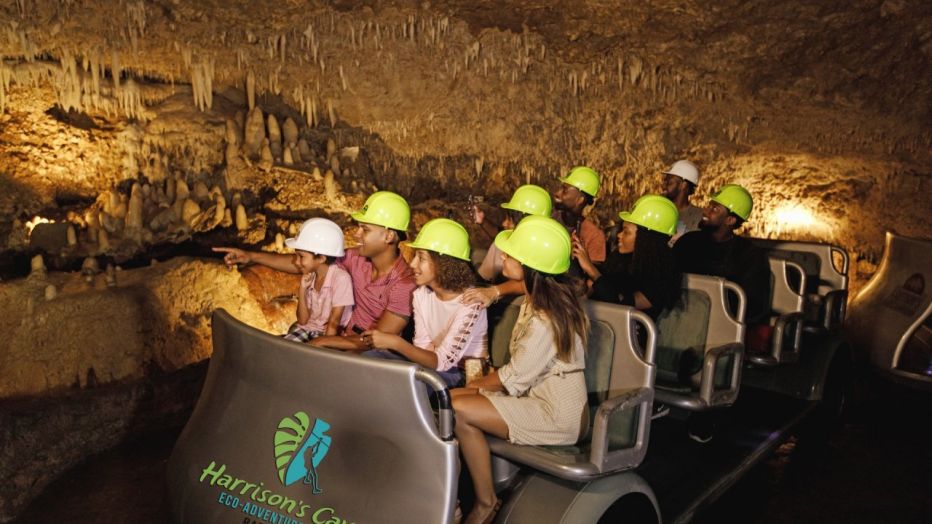 harrisons-cave-tram