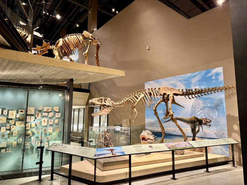A ala dos dinossauros é um arraso