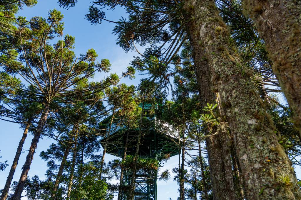 Observatório Panorâmico do Caracol será inaugurado no dia 24 de maio